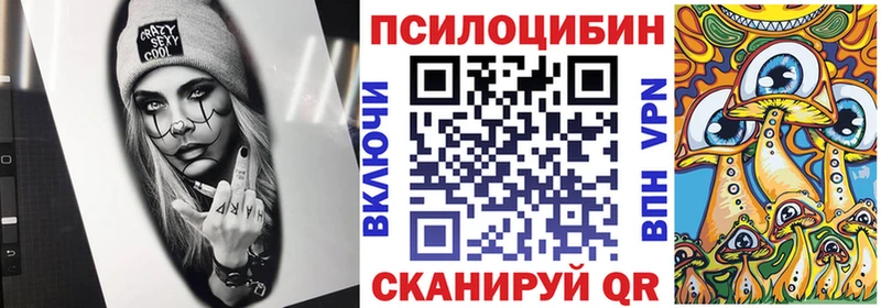 hydra ссылка  продажа наркотиков  Змеиногорск  Псилоцибиновые грибы GOLDEN TEACHER 